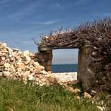 ...su cui si aprono delle aperture che portano in aperta campagna